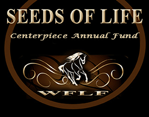 WFLF Annual Charitable Giving